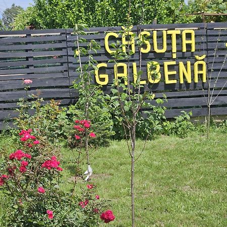 Casuta Galbena Villa Észak-Eforie Kültér fotó